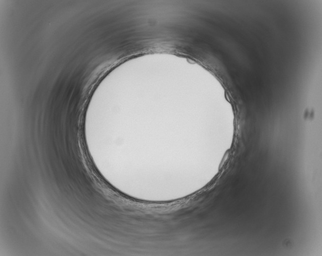 X0000112840001200910021118