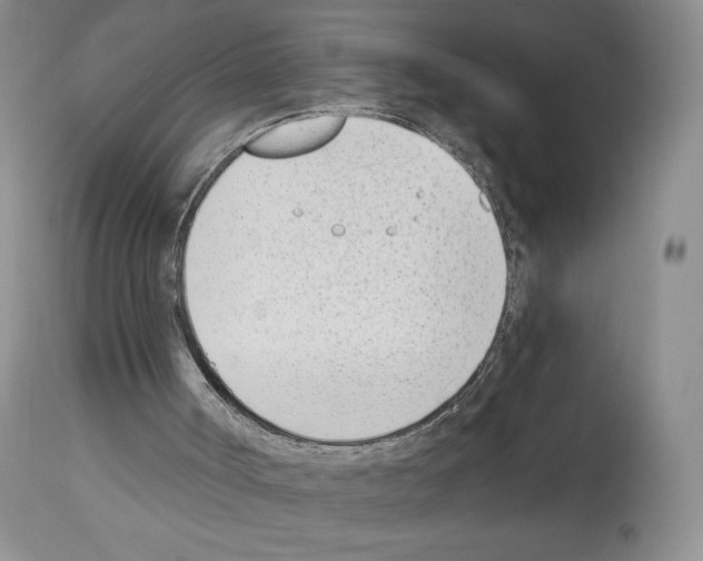 X0000112840002200910021118