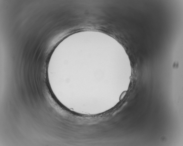 X0000112840005200910021118