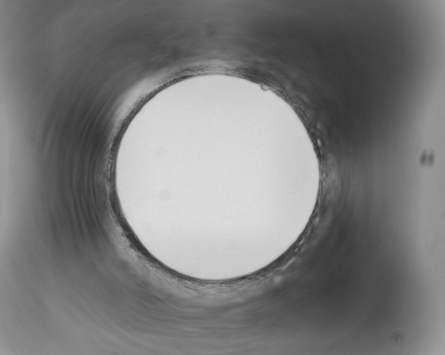 X0000112840006200910021118