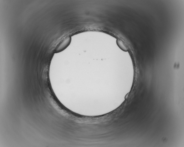 X0000112840009200910021118