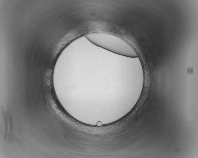 X0000112840010200910021118