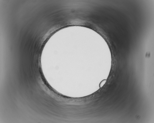 X0000112840011200910021118