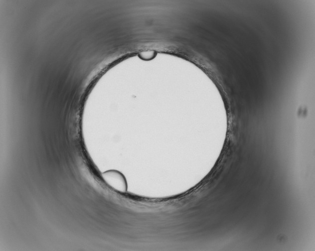 X0000112840012200910021118