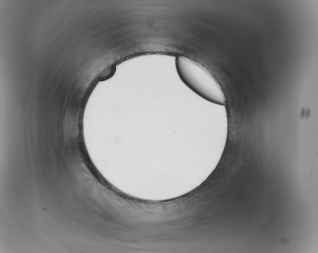 X0000112840015200910021118