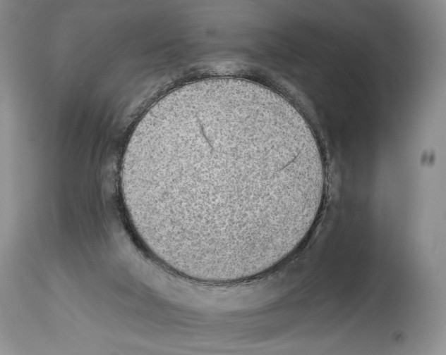 X0000112840018200910021118