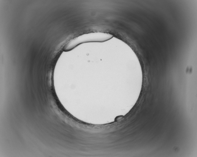 X0000112840019200910021118