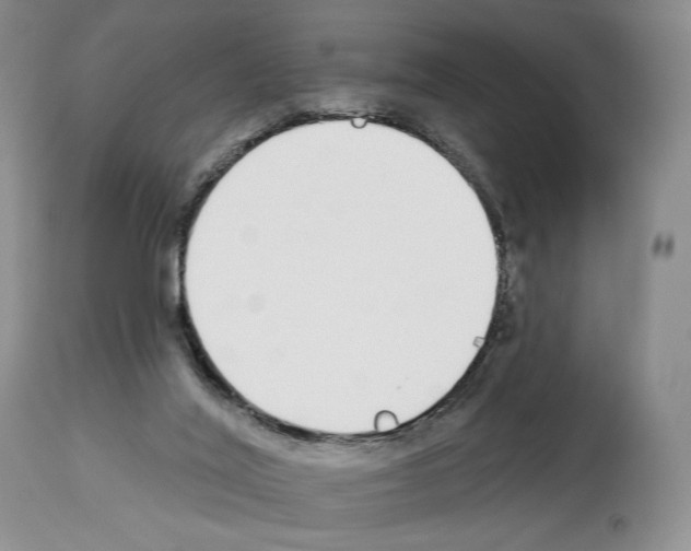 X0000112840020200910021118