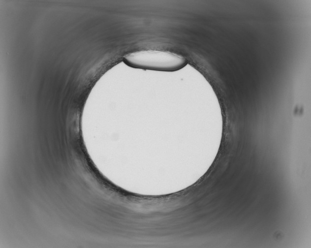 X0000112840021200910021118