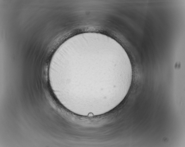 X0000112840022200910021118