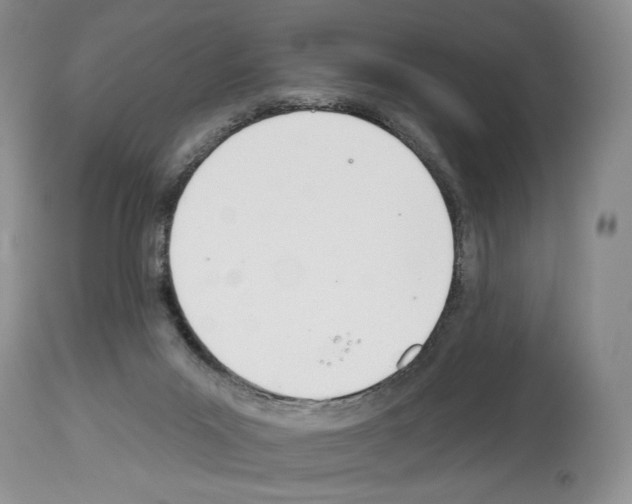 X0000112840023200910021118