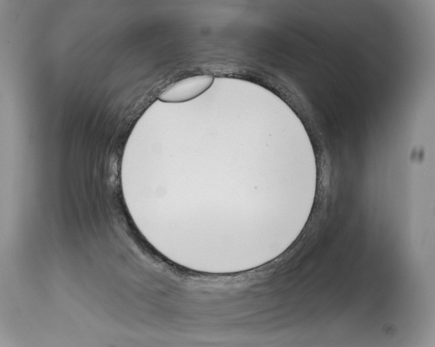 X0000112840025200910021118