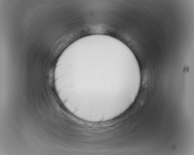 X0000112840026200910021118