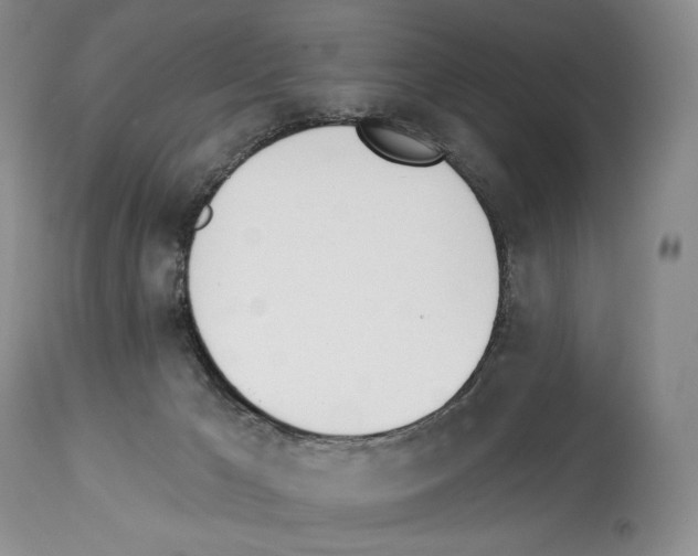 X0000112840029200910021118