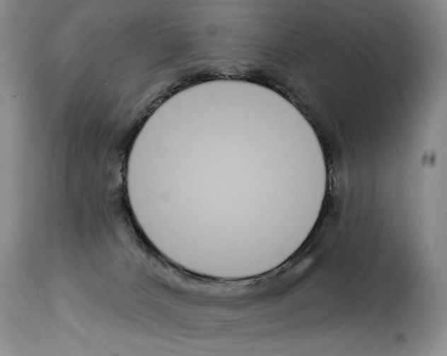 X0000112840032200910021118