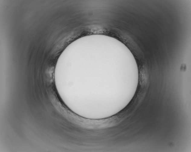 X0000112840034200910021118