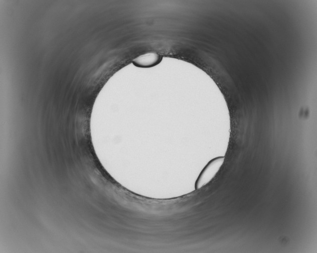 X0000112840035200910021118