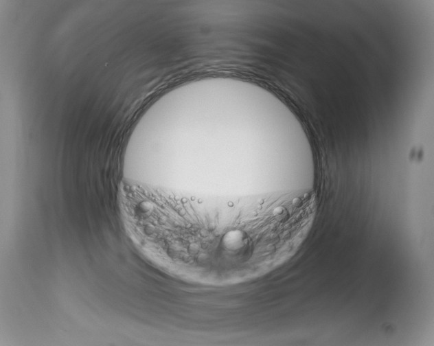 X0000112840036200910021118