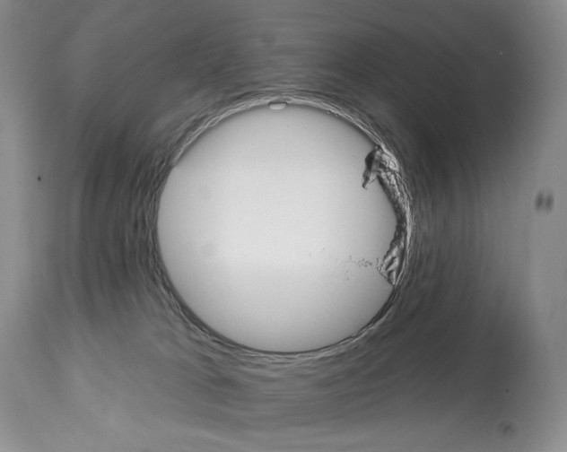 X0000112840037200910021117