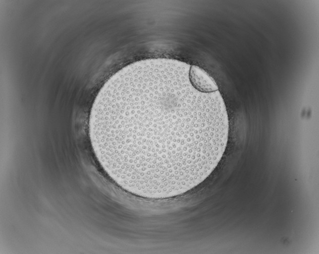 X0000112840038200910021117