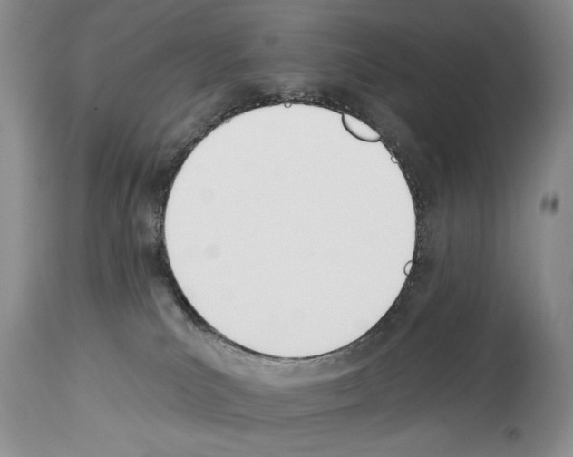 X0000112840039200910021117