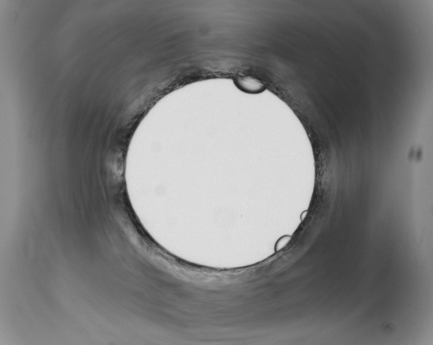 X0000112840040200910021117