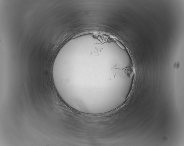 X0000112840041200910021117