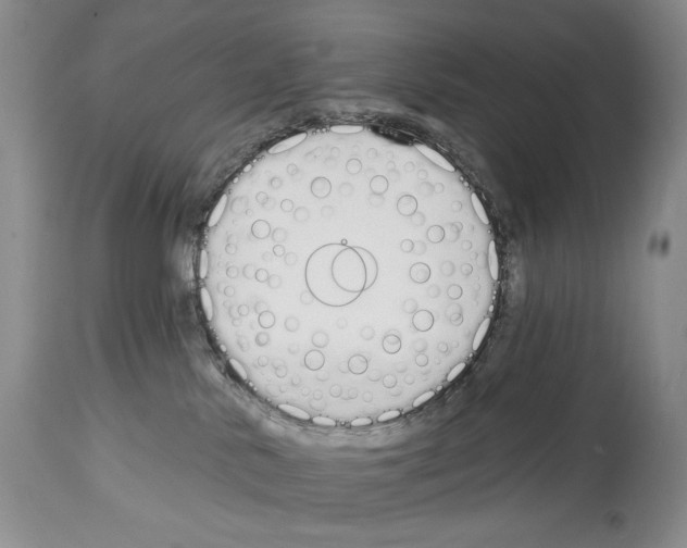 X0000112840042200910021117