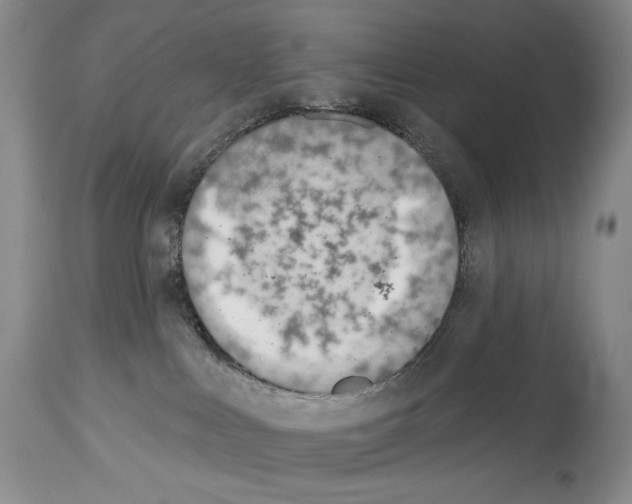 X0000112840043200910021117