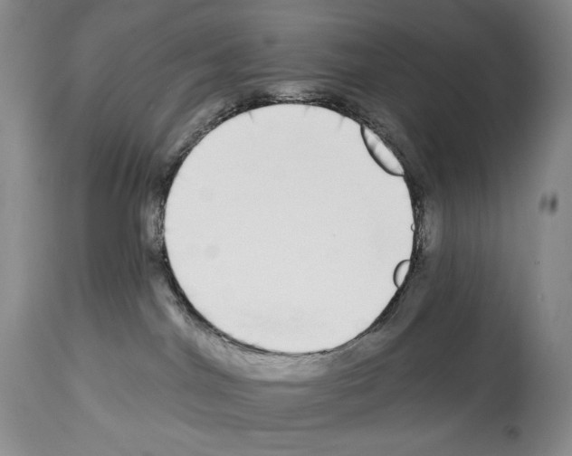 X0000112840044200910021117