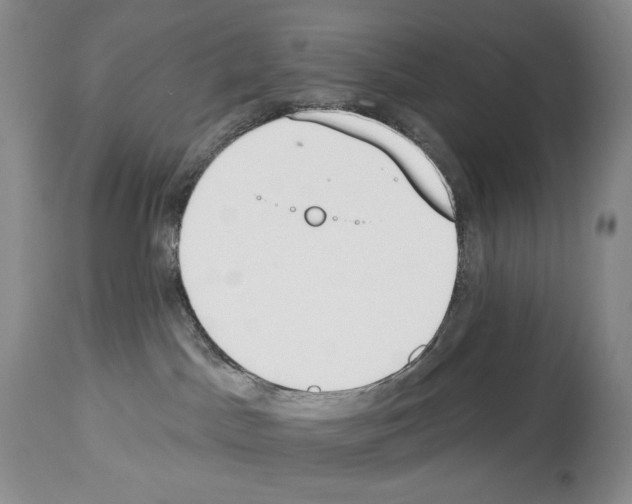 X0000112840045200910021117