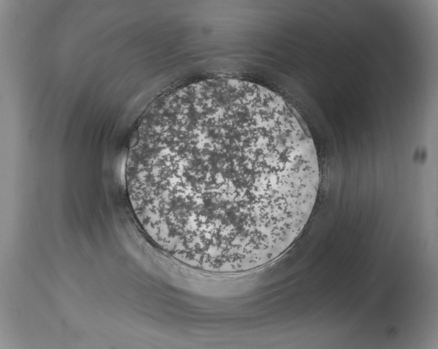 X0000112840047200910021117