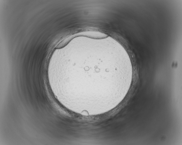 X0000112840049200910021117