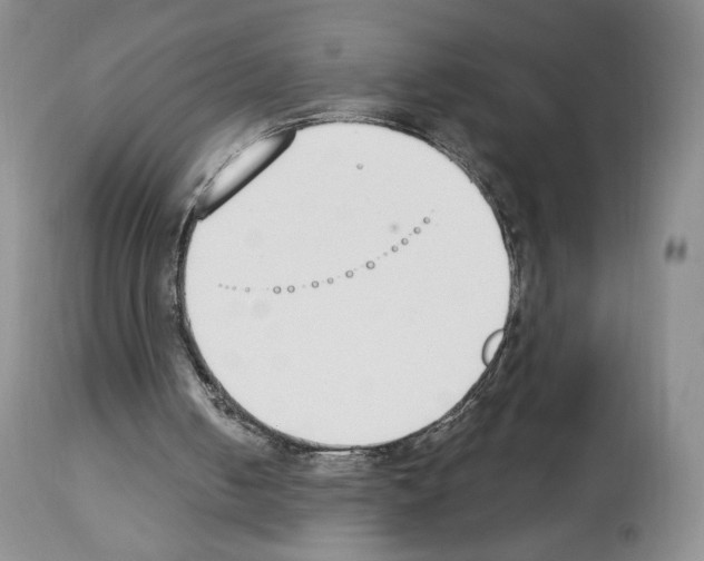 X0000112840050200910021117