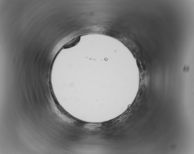 X0000112840051200910021117