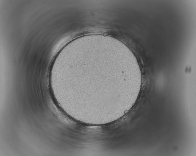 X0000112840053200910021117