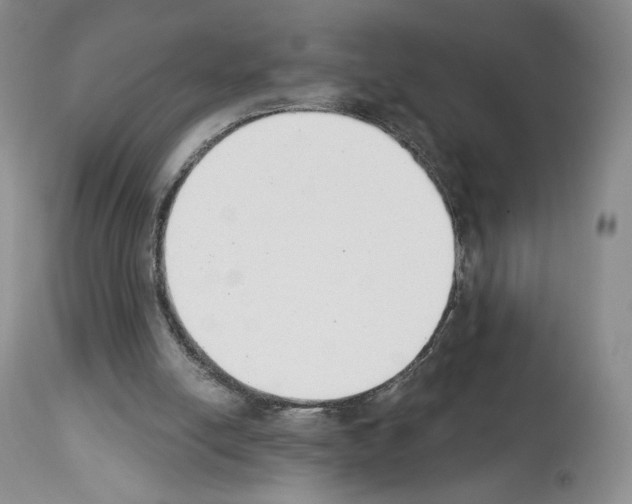 X0000112840054200910021117