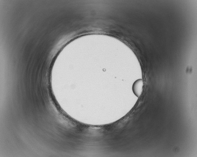 X0000112840055200910021117