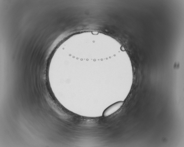 X0000112840056200910021117