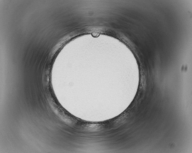 X0000112840059200910021117