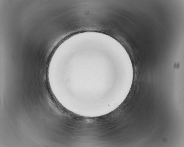 X0000112840060200910021117