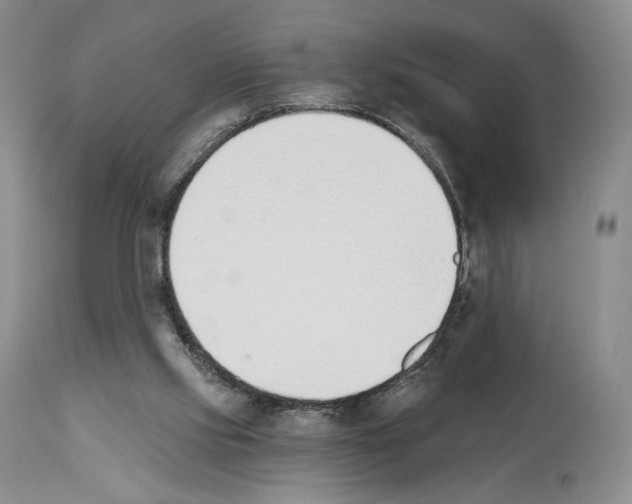 X0000112840061200910021117