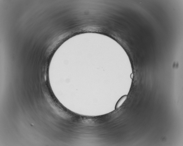 X0000112840062200910021117