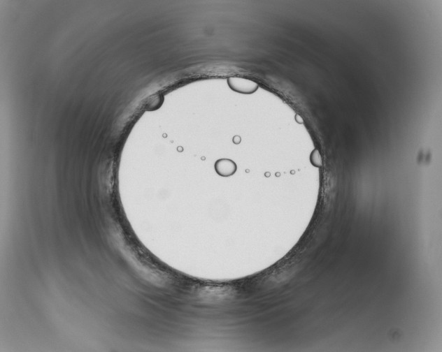 X0000112840063200910021117