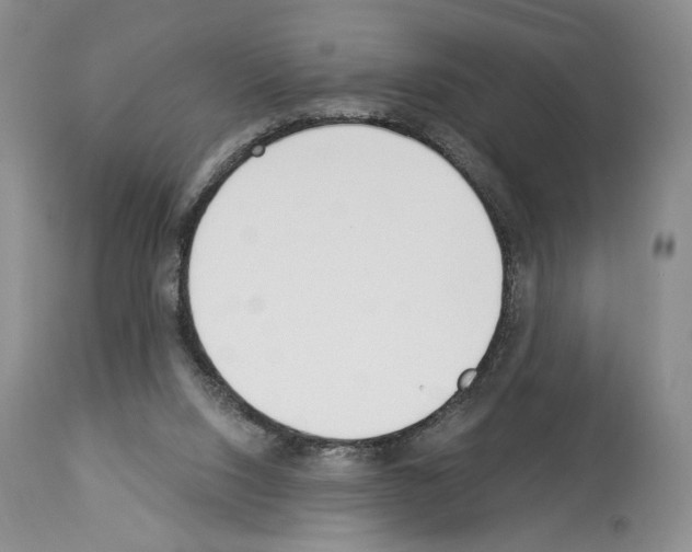 X0000112840064200910021117