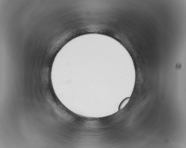 X0000112840066200910021117