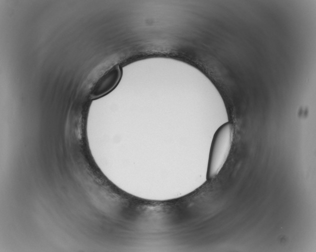 X0000112840068200910021117