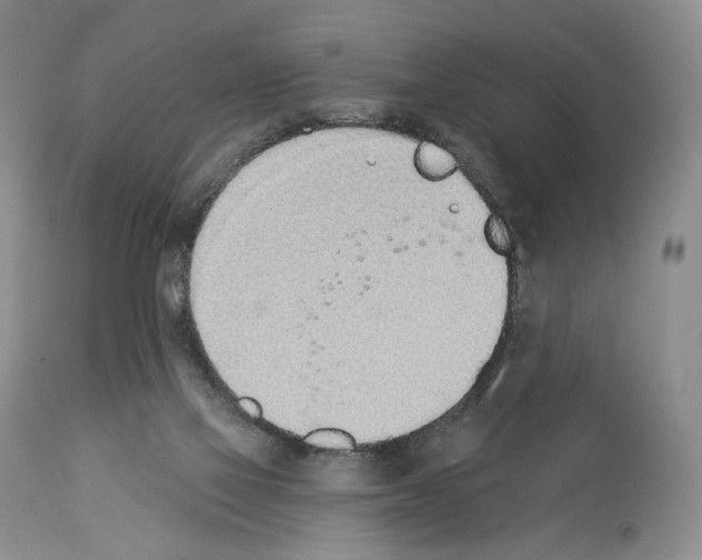 X0000112840069200910021117