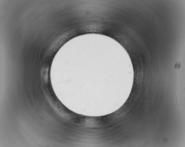 X0000112840070200910021117