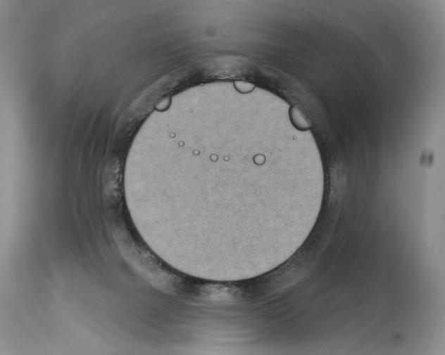 X0000112840073200910021117